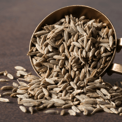 Cumin Seeds | Jeera | जीरा